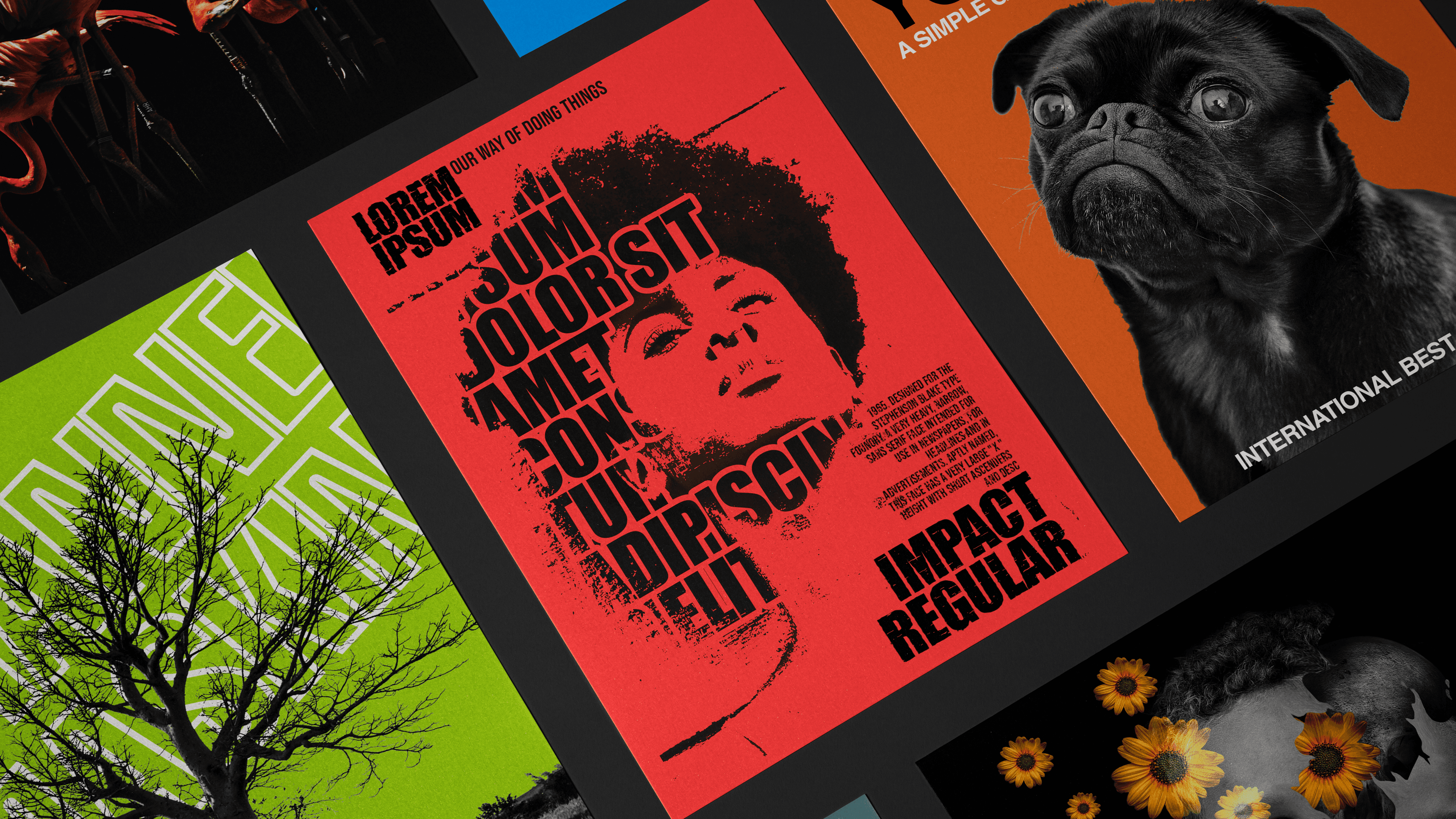 Portfolio artwork
